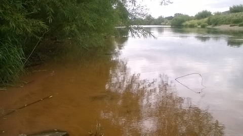 River Wye Pollution Update Summary By Emil Morfett Herefordshire   The Eign Enters The Wye Bottom Left. 